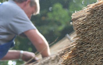 professional Beer Hackett thatchers